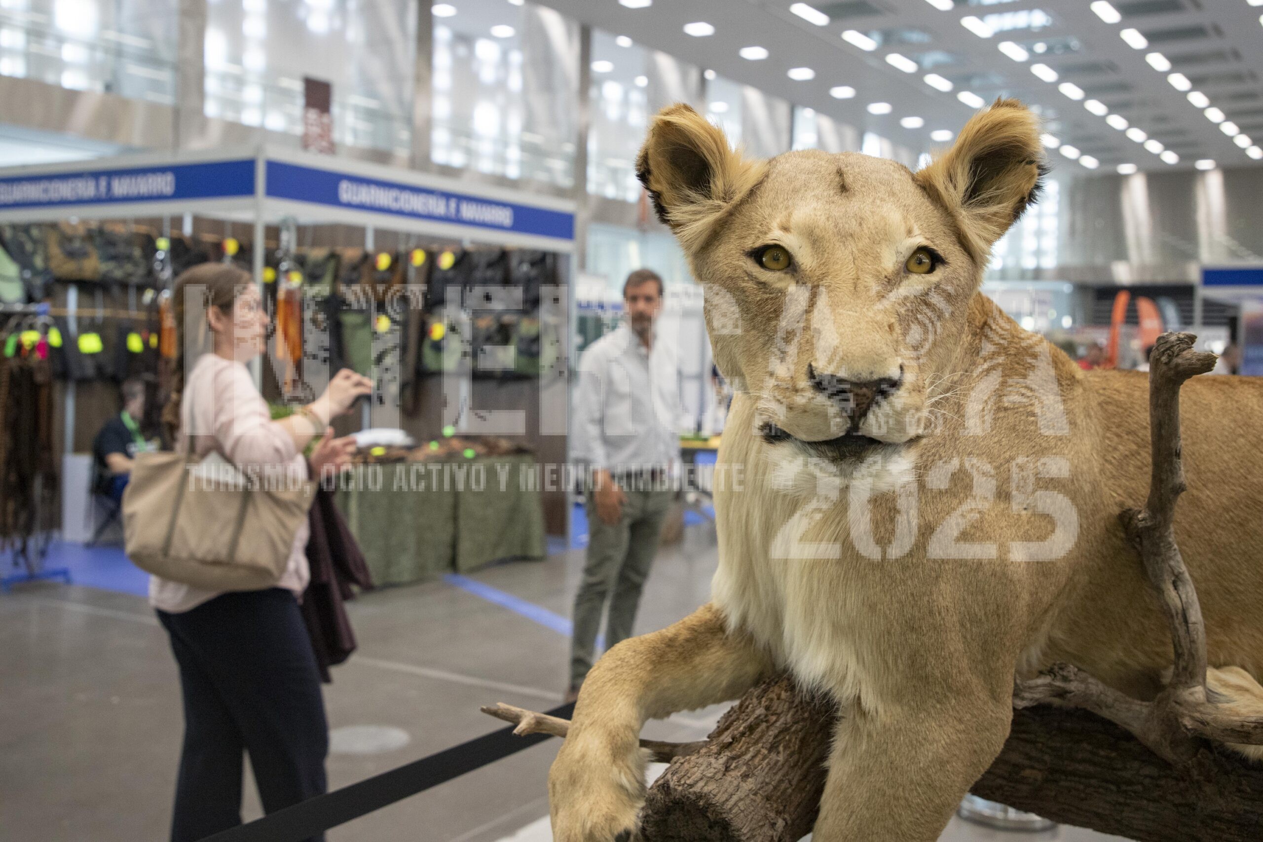 FOTO_Ambiente-Intercaza-2025_01-scaled
